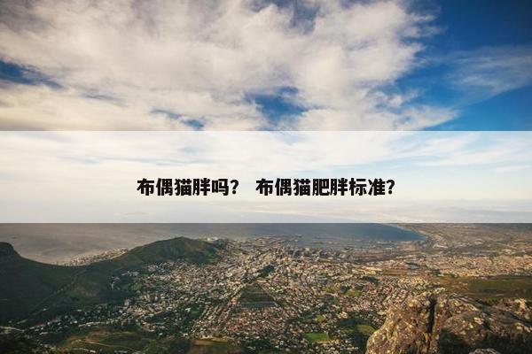 布偶猫胖吗？ 布偶猫肥胖标准？