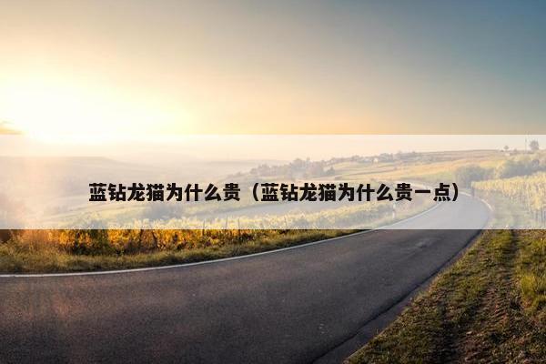龙猫 第4页