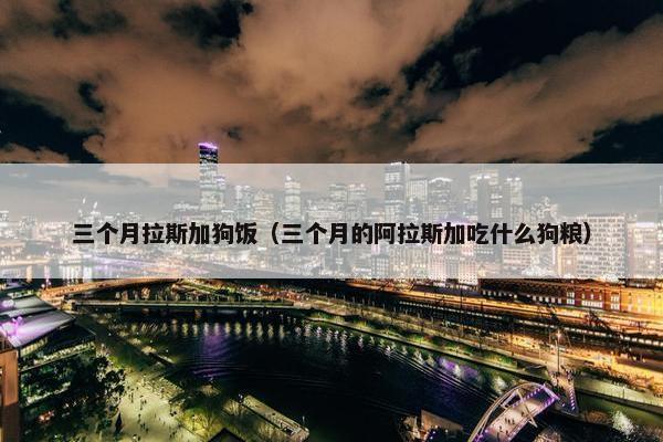 三个月拉斯加狗饭（三个月的阿拉斯加吃什么狗粮）