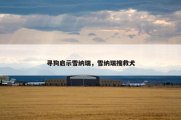 寻狗启示雪纳瑞，雪纳瑞搜救犬