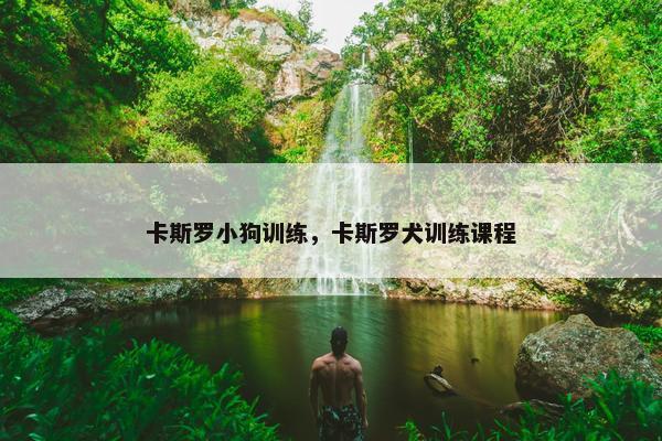 卡斯罗小狗训练，卡斯罗犬训练课程
