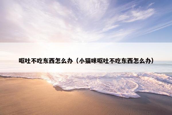 呕吐不吃东西怎么办（小猫咪呕吐不吃东西怎么办）