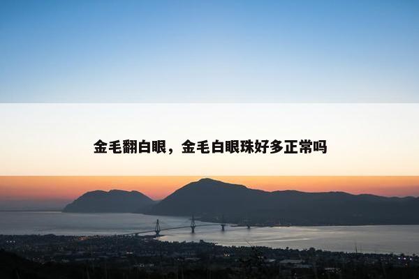 金毛翻白眼，金毛白眼珠好多正常吗