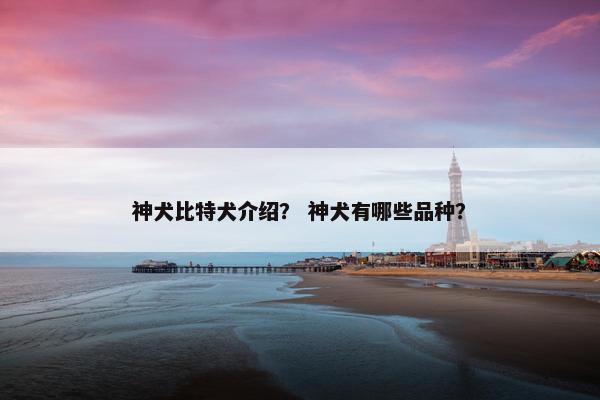 神犬比特犬介绍？ 神犬有哪些品种？