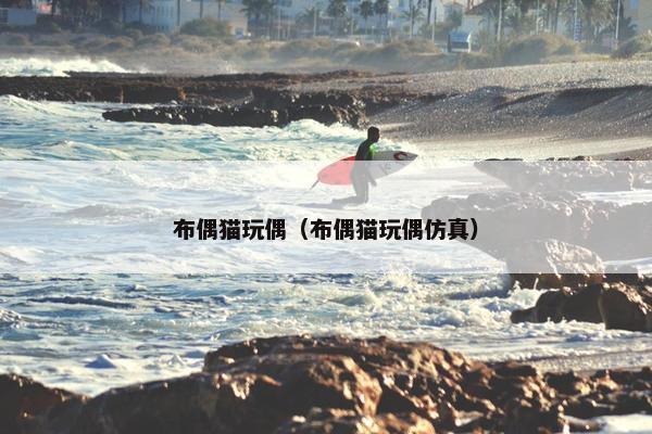 布偶猫玩偶（布偶猫玩偶仿真）
