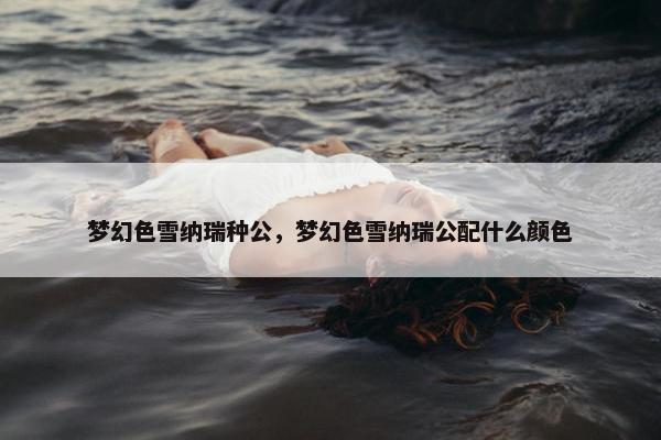 梦幻色雪纳瑞种公，梦幻色雪纳瑞公配什么颜色