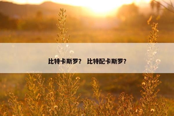 比特卡斯罗？ 比特配卡斯罗？