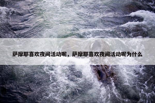 萨摩耶 第5页