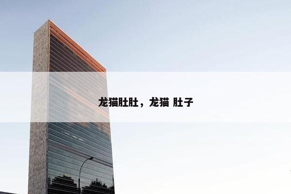 龙猫肚肚，龙猫 肚子