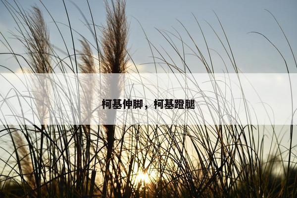 柯基伸脚，柯基蹬腿