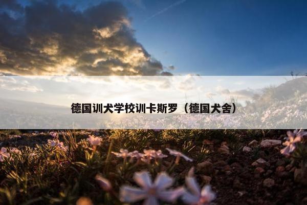 德国训犬学校训卡斯罗（德国犬舍）