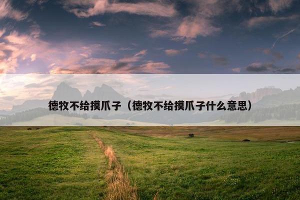 德牧不给摸爪子（德牧不给摸爪子什么意思）