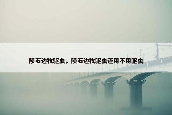陨石边牧驱虫，陨石边牧驱虫还用不用驱虫
