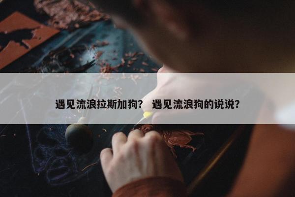 遇见流浪拉斯加狗？ 遇见流浪狗的说说？