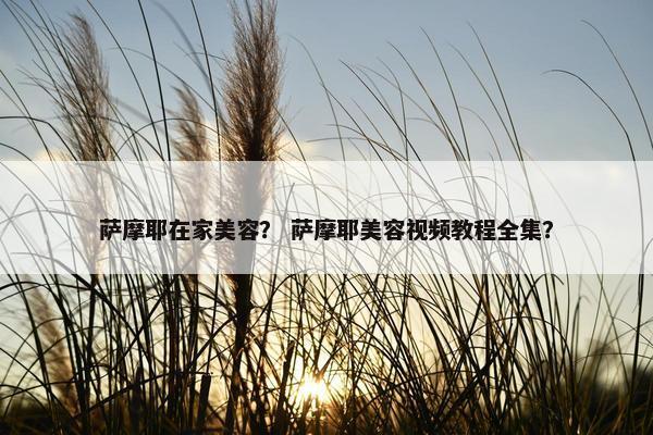 萨摩耶在家美容？ 萨摩耶美容视频教程全集？
