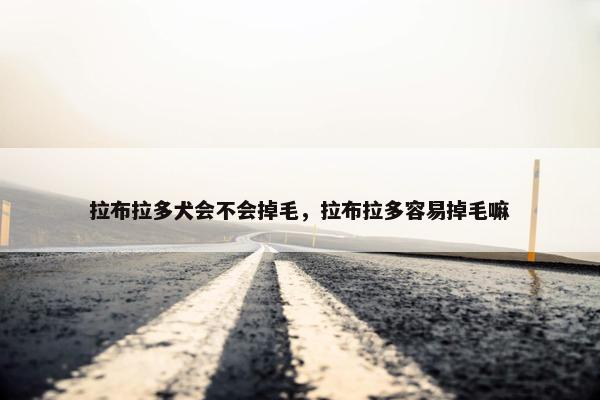 拉布拉多犬会不会掉毛，拉布拉多容易掉毛嘛