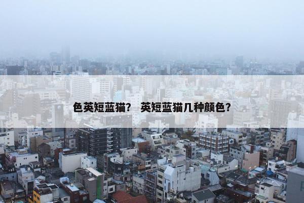 色英短蓝猫？ 英短蓝猫几种颜色？