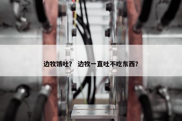 边牧饿吐？ 边牧一直吐不吃东西？