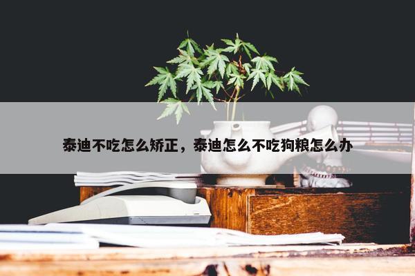 泰迪不吃怎么矫正，泰迪怎么不吃狗粮怎么办