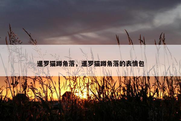 主人 第9页