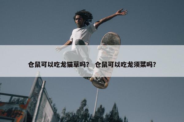 仓鼠可以吃龙猫草吗？ 仓鼠可以吃龙须菜吗？
