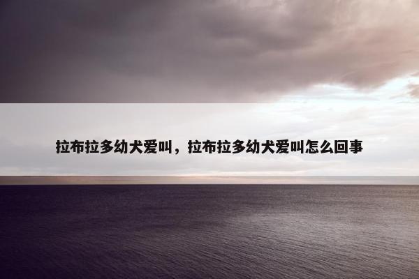 拉布拉多幼犬爱叫，拉布拉多幼犬爱叫怎么回事