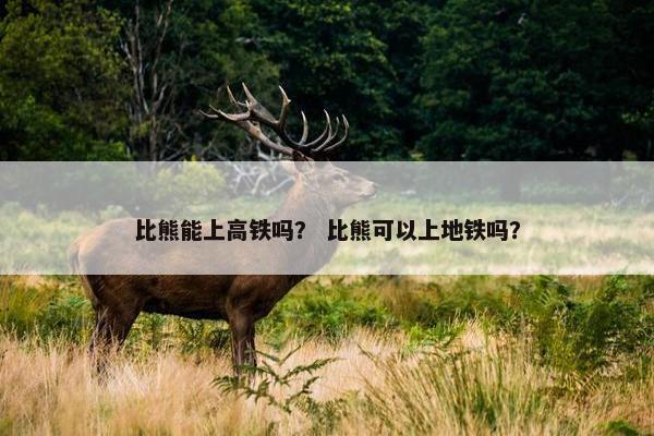 比熊能上高铁吗？ 比熊可以上地铁吗？