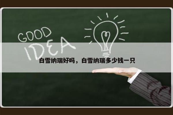 白雪纳瑞好吗，白雪纳瑞多少钱一只