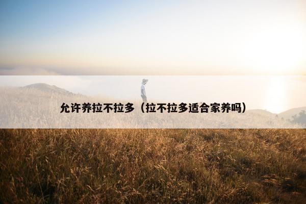 允许养拉不拉多（拉不拉多适合家养吗）
