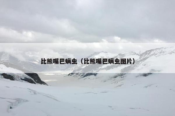 比熊嘴巴螨虫（比熊嘴巴螨虫图片）
