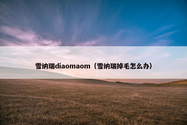 雪纳瑞diaomaom（雪纳瑞掉毛怎么办）