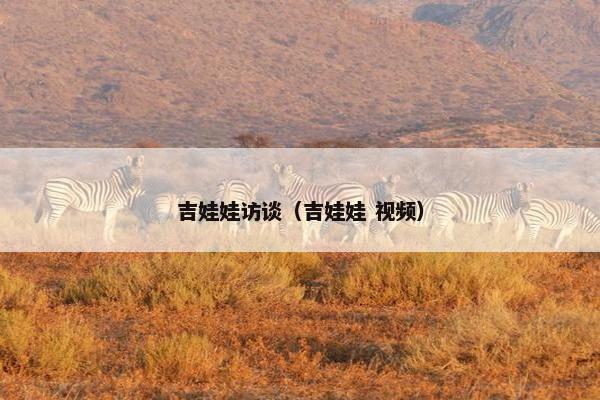 吉娃娃访谈（吉娃娃 视频）