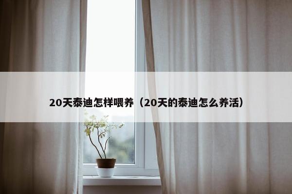 20天泰迪怎样喂养（20天的泰迪怎么养活）