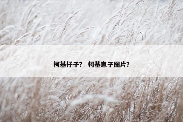 柯基仔子？ 柯基崽子图片？