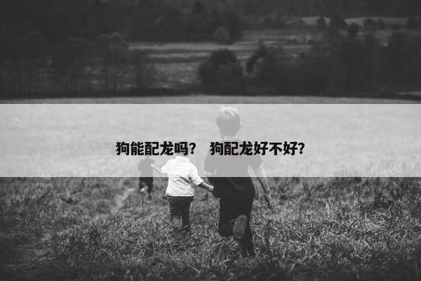 狗能配龙吗？ 狗配龙好不好？
