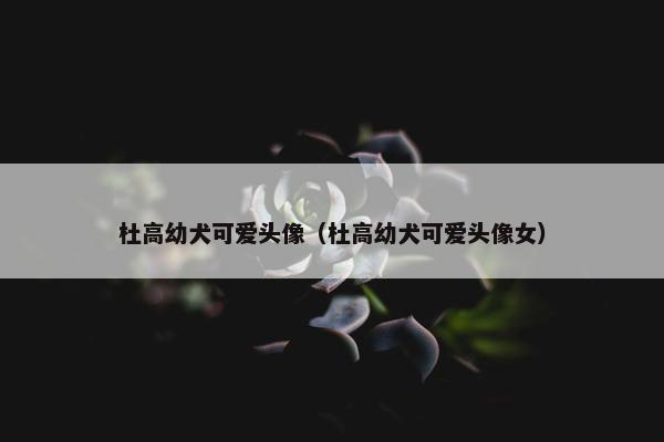 杜高幼犬可爱头像（杜高幼犬可爱头像女）