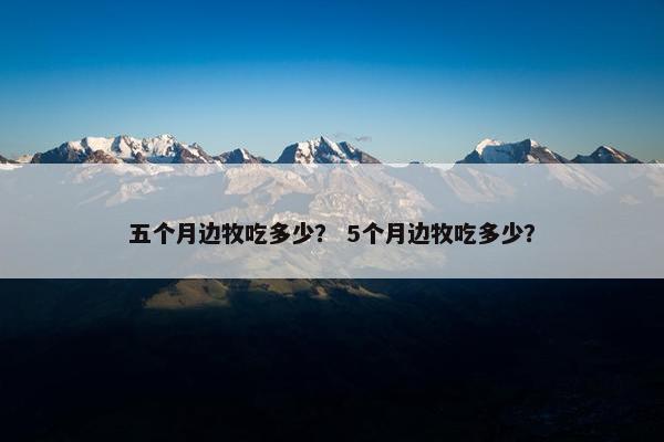 五个月边牧吃多少？ 5个月边牧吃多少？