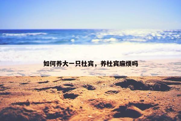 如何养大一只杜宾，养杜宾麻烦吗