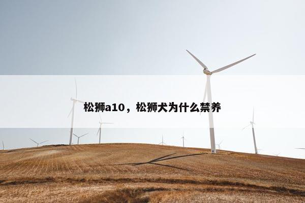 松狮a10，松狮犬为什么禁养