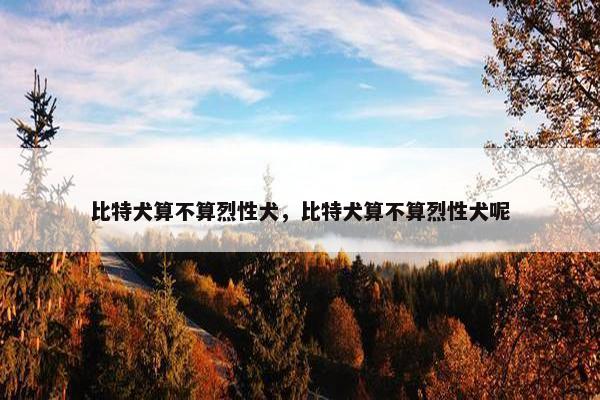比特犬算不算烈性犬，比特犬算不算烈性犬呢