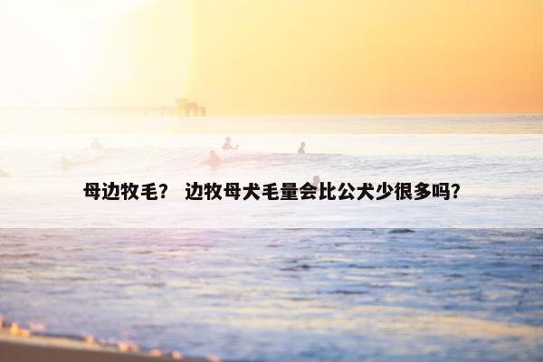 母边牧毛？ 边牧母犬毛量会比公犬少很多吗？