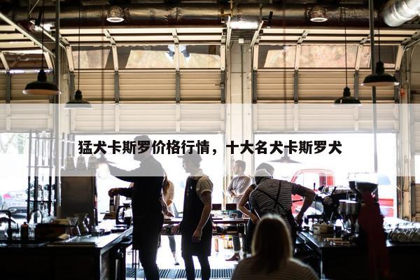 猛犬卡斯罗价格行情，十大名犬卡斯罗犬