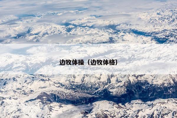 边牧体操（边牧体格）