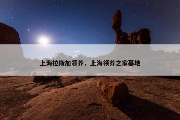 上海拉斯加领养，上海领养之家基地