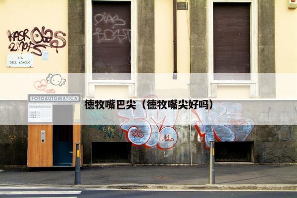 德牧嘴巴尖（德牧嘴尖好吗）
