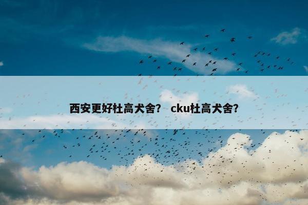 西安更好杜高犬舍？ cku杜高犬舍？