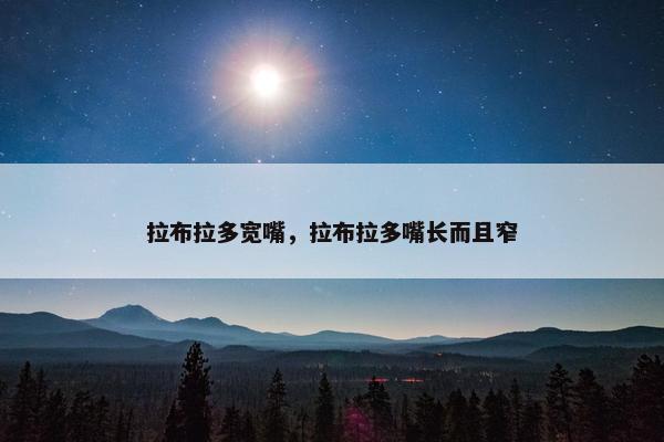 拉布拉多宽嘴，拉布拉多嘴长而且窄