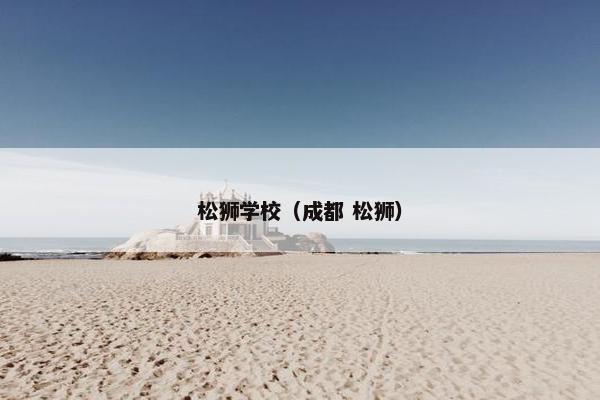 松狮学校（成都 松狮）