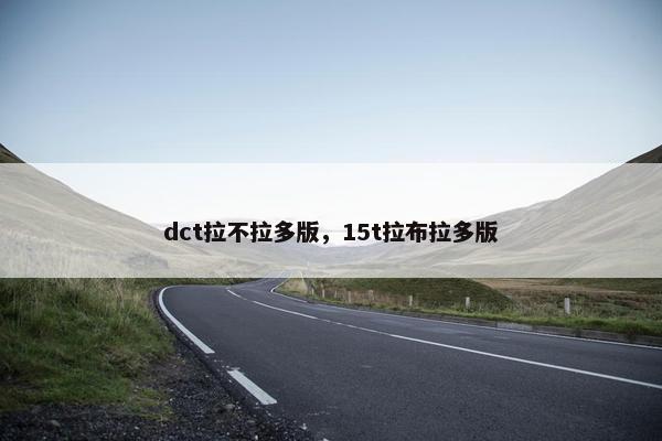 dct拉不拉多版，15t拉布拉多版