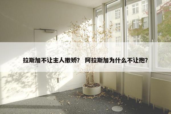拉斯加不让主人撒娇？ 阿拉斯加为什么不让抱？